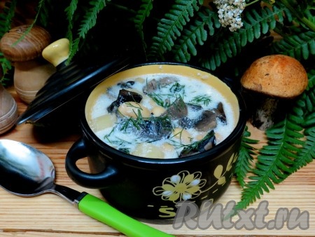 Необыкновенно ароматный, вкусный суп, сваренный из свежих подосиновиков с картошкой, подаём со сметаной, посыпав, по желанию, мелко нарезанным укропом.