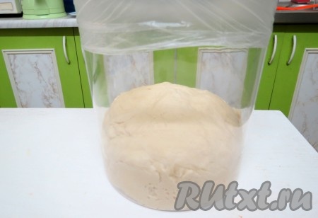 Ёмкость, в которой будет бродить (подниматься) тесто, смажьте растительным маслом, переложите в неё тесто. Выбирая ёмкость, в которой будет бродить тесто, учитывайте, что она должна быть достаточно глубокой и объёмной, так как тесто в процессе подъёма увеличится в 2-2,5 раза. Ёмкость с тестом сверху затяните пищевой плёнкой.