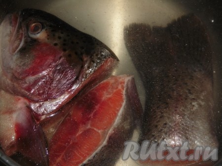 Рыбный суповой набор (в этот раз у меня набор из форели) промыть водой, выложить в кастрюлю, залить 3 литрами холодной воды, поставить на огонь, после закипания воды снять пену и варить минут 20-25 (до готовности рыбы), периодически снимая пену.