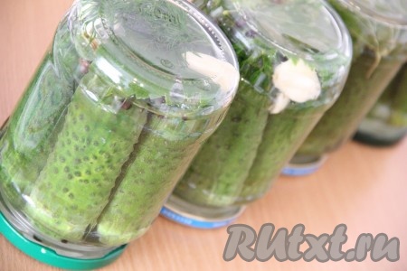  Залить огурцы крутым кипятком, оставив немного места для уксуса и водки. Добавить в банки уксус и водку. Закрыть огурцы винтовыми крышками и перевернуть кверху дном. Укутать банки с огурцами в плед и оставить до полного остывания.