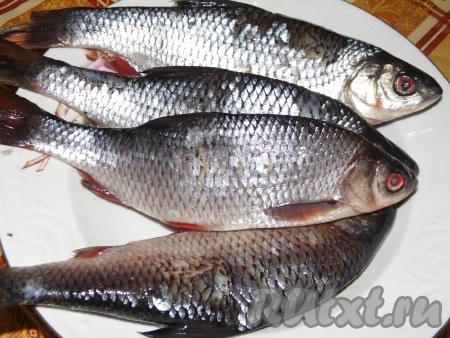 Для начала надо рыбу хорошенько  очистить и выпотрошить, головы от рыбы выбрасывать не надо, они придадут очень хороший навар. Мы рыбу оставили целой, если у вас крупная - нарезать кусочками.