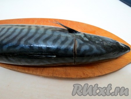 Около плавника и головы острым ножом делаем поперечный разрез, как на фото. Глубина разреза должна быть не более 1 сантиметра. У меня, к сожалению, получилось полтора.