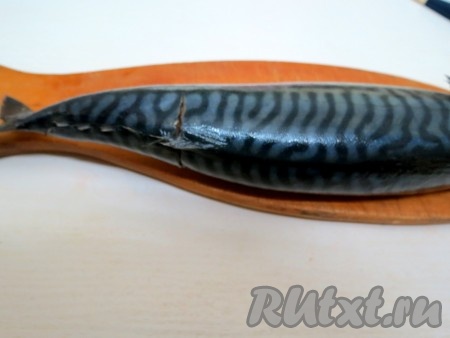 Отступив от хвоста 2,5 сантиметра, делаем ещё 1 такой же разрез.