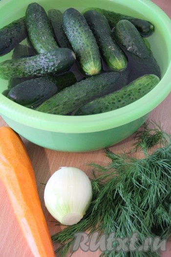Огурцы замочить в холодной воде на 5-6 часов. Затем хорошо вымыть и срезать кончики. Морковь и лук почистить. Укроп вымыть и обсушить.&nbsp;
