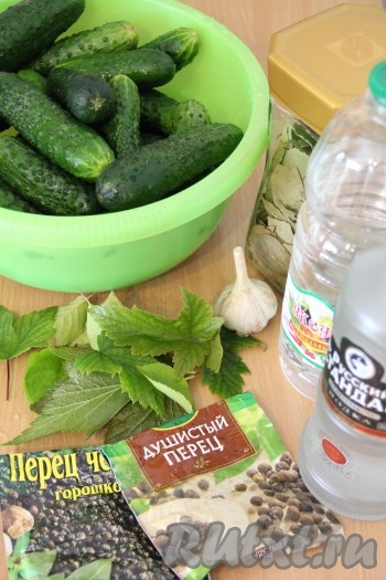Огурцы хорошо вымыть. Листья смородины, вишни и укроп вымыть. Чеснок почистить. Подготовить специи.