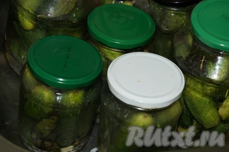 Каждый стерилизует огурцы своим способом! Я стерилизую просто: воду вскипятить и залить в банки с огурцами крутым кипятком, отставить их в сторону минут на 5-10, затем кипяток слить.&nbsp;
