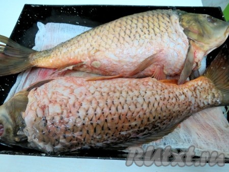 Фаршированного карпа выкладываем на противень, аккуратно прикладывая голову. Хвостики можно обернуть фольгой, чтобы они не пересыхали.
