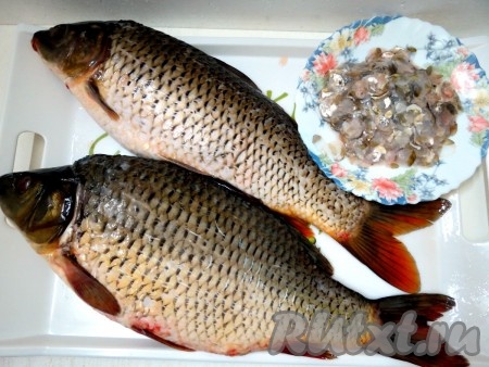 Чистим карпа от чешуи, которую не выбрасываем (чешую мы завернём в марлечку, она понадобится при тушении уже нафаршированного карпа - даст клейковину, от которой желируется мясо рыбы и вода, в которой готовим рыбу). Удаляем жабры и глаза.
