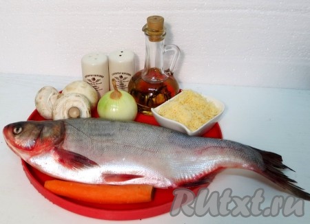 Для приготовления фаршированного толстолобика нам понадобится толстолобик, соль, перец, шампиньоны, лук, масло растительное, сыр твёрдый.
