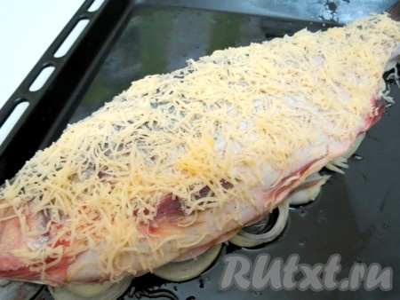 Толстолобика выкладываем на лук и посыпаем сыром, который предварительно натёрли на крупной тёрке.
