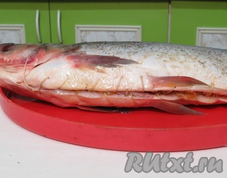 Зашиваем его хлопчатобумажной или шёлковой нитью.
