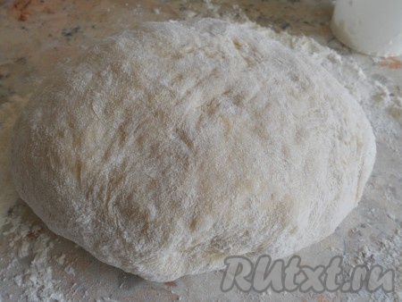 Накрыть миску с тестом полотенцем и убрать в тёплое место для подхода на 1 час. Подошедшее тесто увеличится в объёме раза в 2-3, обмять его, подсыпав, если необходимо, ещё немного муки.