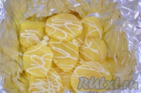 На блестящую сторону фольги выложить слой картофеля, посолить, посыпать специями (у меня специальные специи для картошки), слегка смазать сметаной или майонезом.
