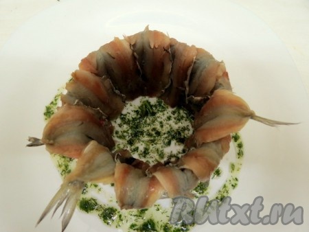 Так выглядит кольцо с выложенной салакой.