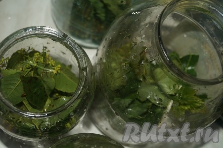 Листья хрена, смородины, вишни и укроп хорошенько вымыть теплой водой. Чеснок очистить на дольки. Листья хрена нарезать и выложить вместе с укропом, листьями смородины, вишни и дольками чеснока ровными порциями на дно простерилизованных банок (я стерилизую в микроволновке, очень удобно).&nbsp;
