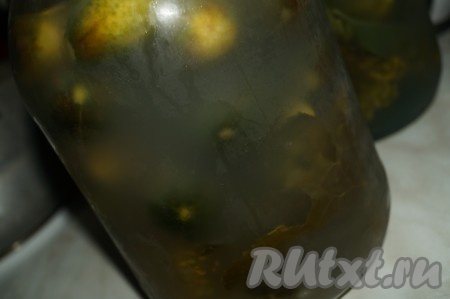 Через 2 дня рассол помутнеет, огурцы потемнеют и появится запах малосольных огурцов, а затем солёных.
