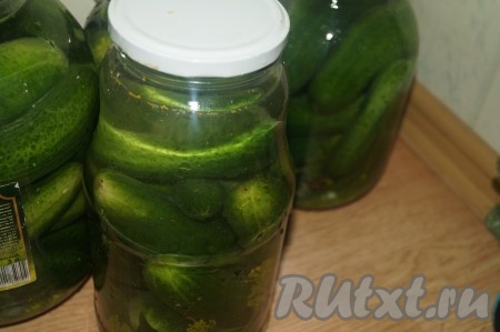 Затем в теплую воду добавить соль, хорошенько перемешать до растворения соли и залить в банки с огурцами. Накрыть крышками и оставить огурцы в квартире в темном месте дня на 2-3, периодически снимая пену (не пугайтесь вида пены - это процесс брожения).
