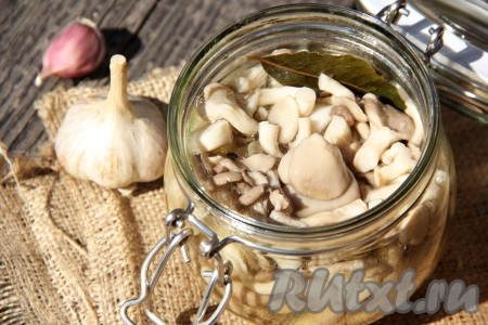 Вешенки, маринованные с уксусом, готовятся очень быстро, остудив, их можно подавать к столу. Я остывшие грибы перекладываю в баночку. Хранить маринованные вешенки нужно в холодильнике. У меня они не проживают и дня, сразу съедаем и я иду в магазин за новой партией грибочков.&nbsp;