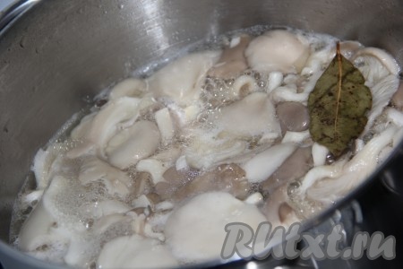 Дать закипеть маринаду, уменьшить огонь. Проварить вешенки 10-15 минут. Чеснок почистить, нарезать на тонкие пластинки, добавить в кастрюлю с вешенками, дать закипеть маринаду, убрать кастрюлю с огня. Оставить вешенки в маринаде до полного остывания.