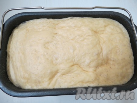 Можно установить режим "Белый хлеб" и все за Вас сделает сама хлебопечка. Но я отдельно замешиваю тесто и потом его выпекаю. Чем хорош этот способ?  Мы можем убрать лопатки из формы и нам не придется их извлекать из готового батона, т.е. нижняя часть хлеба останется целой, не поврежденной.

Установите на вашей хлебопечке режим замеса дрожжевого теста. Нажмите кнопку старт. Через 1 час и 50 минут тесто готово.