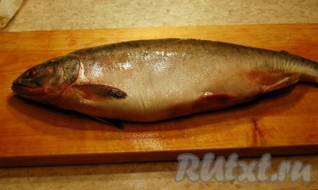 Вот такая рыба.