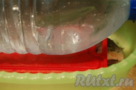 Сверху прикрыть дощечкой, на которой разместить груз (у меня 5-литровая бутыль с водой, очень удобно!). Вынести на холод на сутки.