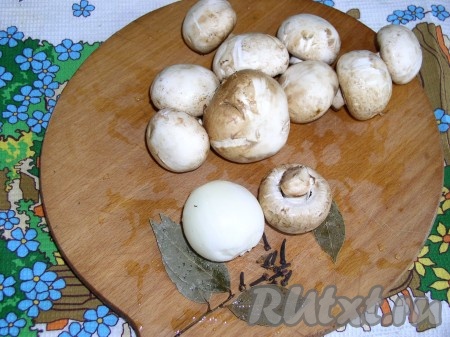 Шампиньоны помыть, обсушить и нарезать пластинками. Обжарить грибы со специями в разогретом масле до золотистого цвета (я в качестве специй добавляю 1 лавровый лист&nbsp; или 1-2 гвоздички, а в конце жарки их удаляю). Полученное масло слить в отдельную емкость.&nbsp;
