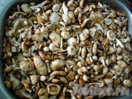 Опята чистим от соринок и моем в большой ёмкости в нескольких водах.
