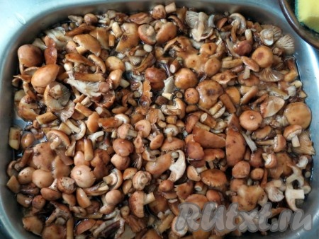 Выкладываем опята в большую ёмкость, заливаем чистой водой комнатной температуры, добавляем в воду 5-6 столовых ложек соли и оставляем часа на 2, затем воду выливаем, она нам больше не понадобится. По истечении времени опята светлеют и с них легко вымывается сор.
