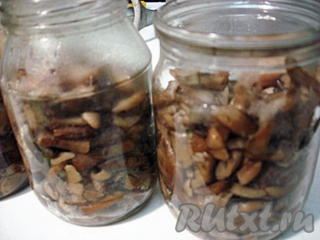 Опята раскладываем в стерилизованные баночки. Доливаем солёной водой, в которой варились грибы. Вода должна полностью покрыть грибы и дойти до горлышка банки. Грибы в банках не должны быть уложены плотно. Если грибы уложены плотно, банка может взорваться.
