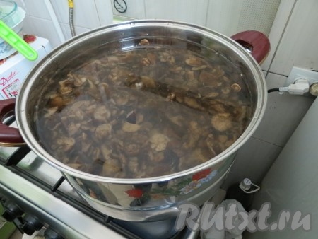 Опята заливаем 3-4 литрами воды, чтобы грибы свободно плавали в кастрюле. В воду добавляем соль из расчёта 60 грамм соли на 1 литр воды, лавровые листья и душистый горошек.&nbsp; Доводим до закипания, уменьшаем огонь до небольшого и варим 10 минут.
