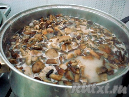 Опята ставим вариться в 4-5 литрах чистой воды. Доводим воду до кипения. Затем огонь уменьшаем до среднего. Время от времени снимаем пену. Варим грибы на среднем огне минут 40 с момента закипания.
