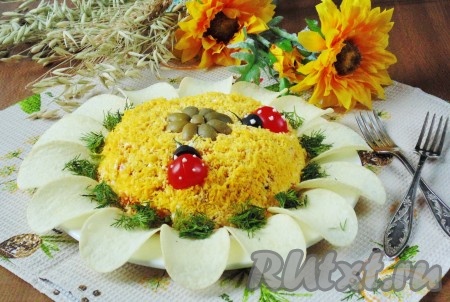 Украсить салат "Подсолнух". Картофельные чипсы выложить по кругу. Оливки разрезать на четыре части и выложить в середине цветка. Помидоры черри разрезать пополам. Из маслины сделать носик жучка и покрыть его капельками майонеза. Из укропа сделать усики. В каждый лепесток у основания подсолнуха насыпать измельченный укроп. На фото видно, каким ярким и очень красивым получился салат, приготовленный по этому рецепту.
