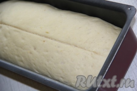 Тесто хорошо поднимется и заполнит объём формы. С помощью острого ножа (или лезвия) сделать на поверхности теста неглубокий надрез. Поставить хлебушек в разогретую духовку и выпекать минут&nbsp; 35-40 (до золотистого цвета) при температуре 180 градусов.