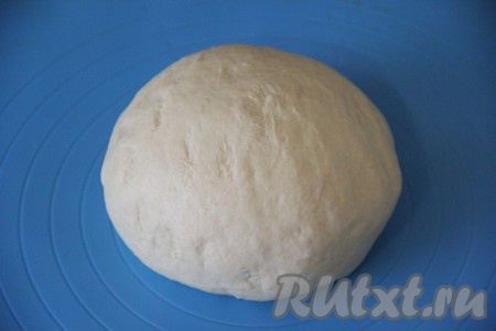 Подошедшее тесто выложить на силиконовый коврик (или присыпанный мукой стол), хорошо обмять.