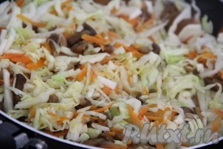 Капусту отправить в сковороду к грибам и моркови, хорошо перемешать, посолить и жарить в течение 15-20 минут (до мягкости капусты), периодически помешивая. Снять с огня и дать остыть. Начинка для дрожжевого пирога готова.