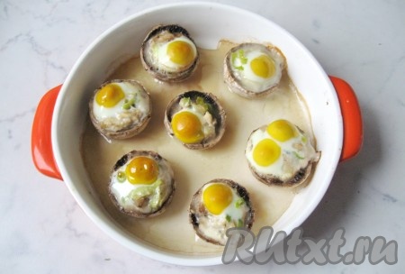 В форму налить 20 мл воды и поставить в духовку, разогретую до 175-180 градусов. Запекать 15-20 минут.
