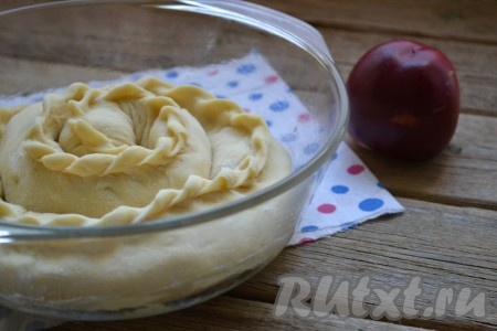 Скручиваем вертуту улиткой и выкладываем в смазанную растительным маслом форму.
