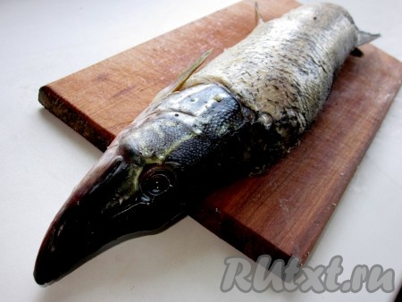 Шкуру щуки заполнить приготовленным фаршем. Голову пришить или прикрепить деревянными шпажками.
