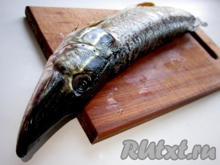 Щуку, очищенную от чешуи и внутренностей, хорошо вымыть. Голову отрезать.
