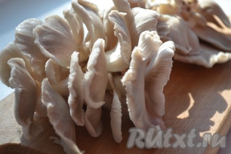 Промыть под проточной водой вешенки и дать им обсохнуть.