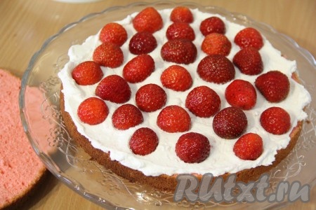 Ягоды клубники вымыть и обсушить. Выложить ягоды на крем и слегка их утопить в крем.