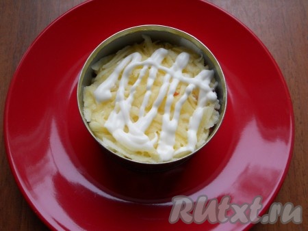 Яблоко очистить от кожуры, натереть его на крупной тёрке, не затрагивая семенную коробку с семечками. Натёртые яблоки равномерно выложить следующим слоем, нанести немного майонеза.