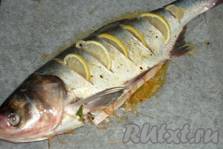 Далее толстолобика, фаршированного лимоном, овощами и зеленью, накрыть ещё одним листом пергамента и отправить запекаться в предварительно разогретую духовку на 40-45 минут при температуре 180 градусов.