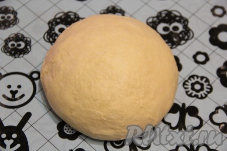 Поднявшееся тесто выложить на рабочую поверхность, припорошенную мукой, и хорошо обмять.&nbsp;