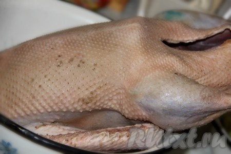 Утку подготавливаем к приготовлению: очищаем, удаляем все внутренности, тщательно промываем под проточной водой и обсушиваем.