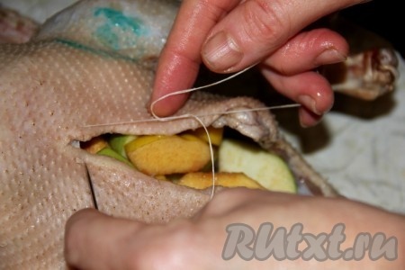 Утку, фаршированную яблоками и айвой, зашиваем обычной ниткой.&nbsp;
