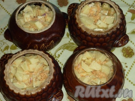 На дно горшочка влить по 1 столовой ложке жира, который выделился при обжаривания утки. Положить мясо, сверху - картофель с морковью.&nbsp;
