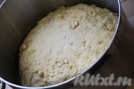 В моём случае для получения нужной консистенции теста ушло 1 килограмм 100 грамм муки. Тесто нужно хорошо вымесить, оно должно стать гладким, ровным, практически не липнущим к рукам. Готовое тесто выложить в высокую кастрюлю, смазанную растительным маслом. Накрыть кастрюлю с тестом полотенцем и поставить в тепло на 1,5-2 часа.