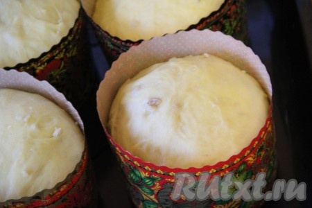 Во время расстойки тесто поднимется и заполнит форму. Поставить формы с тестом в разогретую духовку и выпекать при 180 градусах примерно 1 час. 